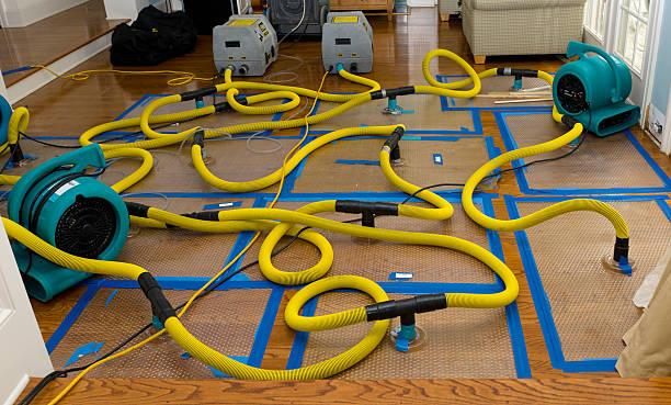 Professional Sewage Cleanup technician working in Windsor, NC